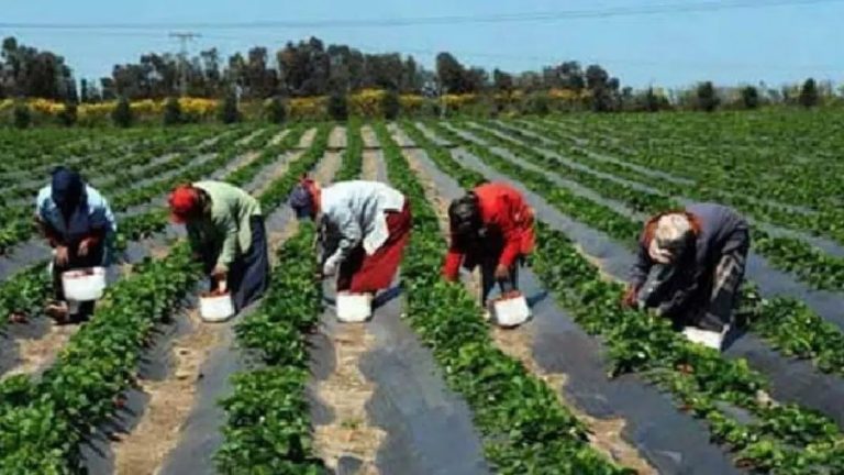 découvrez les assurances essentielles adaptées aux femmes seules et cheffes de famille pour protéger votre avenir et celui de vos proches.