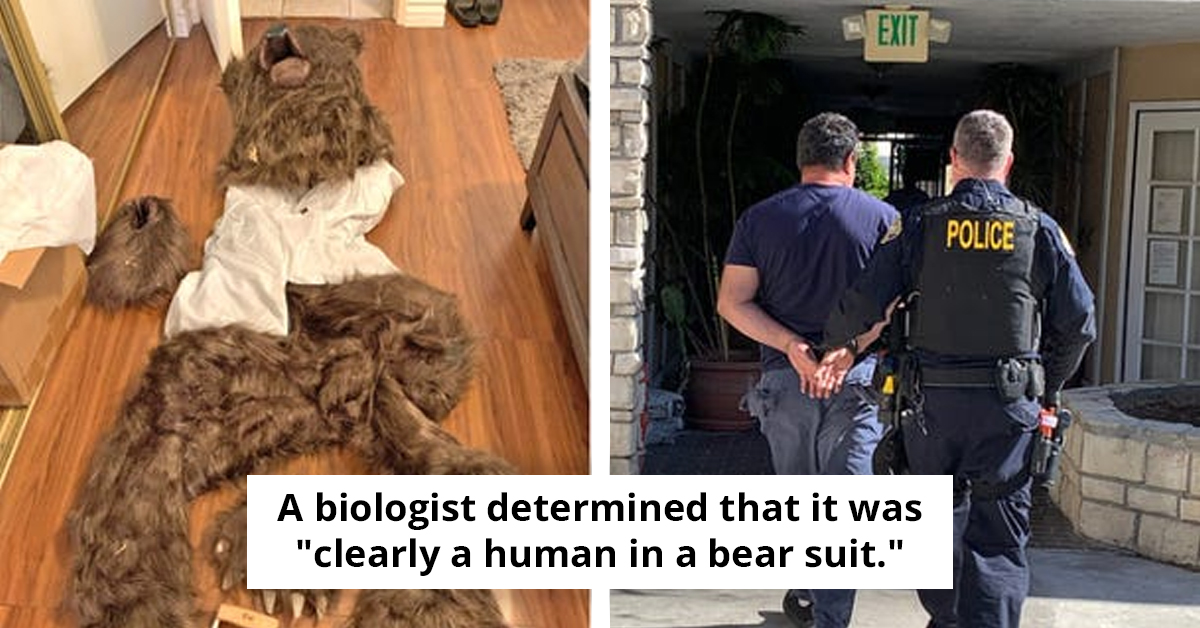 deux américains arrêtés pour escroquerie alors qu'ils étaient déguisés en costume d'ours, une affaire insolite mêlant tromperie et déguisement.
