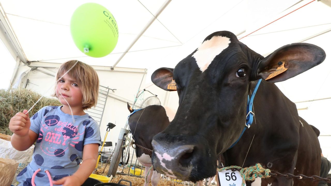 covéa mobilise 750 millions d'euros pour lutter contre les aléas climatiques et soutenir les actions de résilience face aux changements environnementaux.