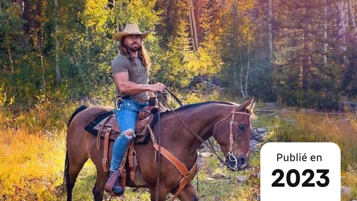 trois américains déguisés en ours ont été condamnés pour fraude, exposant une affaire surprenante mêlant déguisements et malversations.